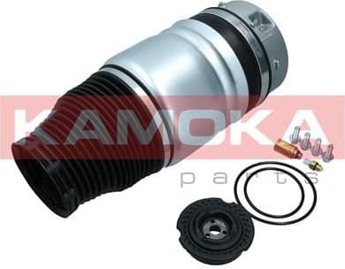 Air Spring, suspension 2079007