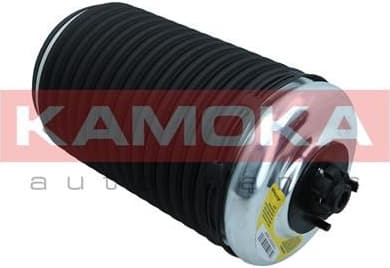 Air Spring, suspension 2079004