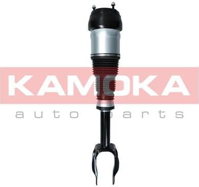 Air Suspension Strut 2070001 - image 2