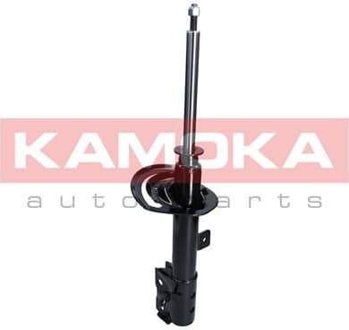 Shock Absorber 2000317 - image 6