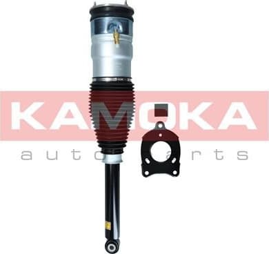 Air Suspension Strut 2070006