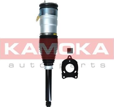Air Suspension Strut 2070006 - image 2