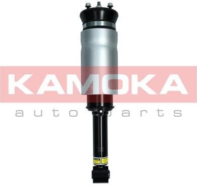 Air Suspension Strut 2070019