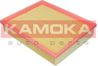 Air Filter F251101 - image 2