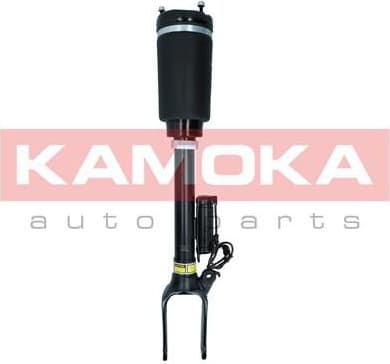 Air Suspension Strut 2070015