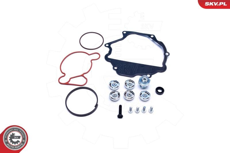 Repair Set, vacuum pump (braking system) 18SKV809 - image 2