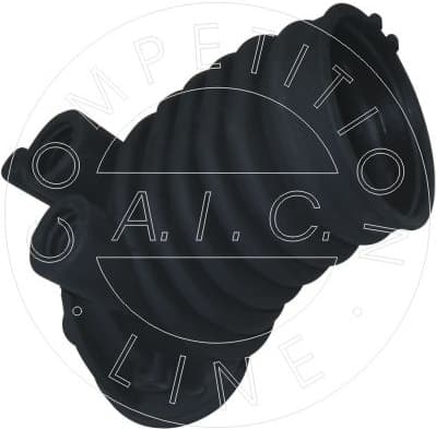 Intake Hose, air filter Original AIC Quality 54734