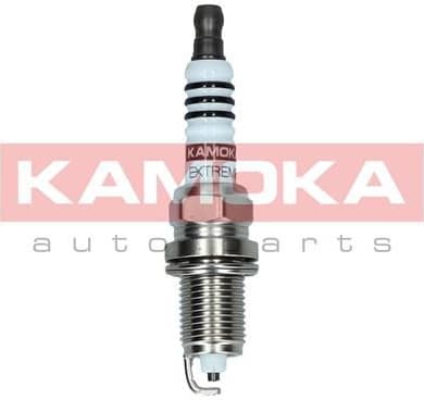 Spark Plug 7090539 - image 2