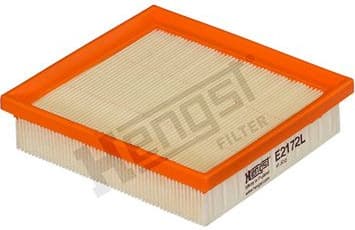 Air Filter E2172L