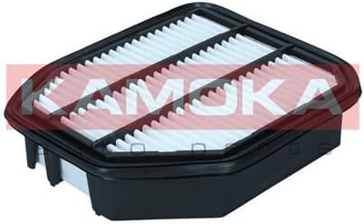 Air Filter F256901