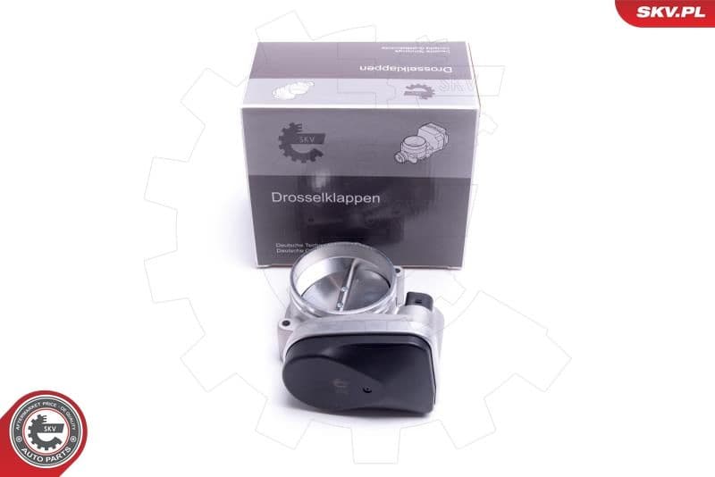 Throttle Body 12SKV123