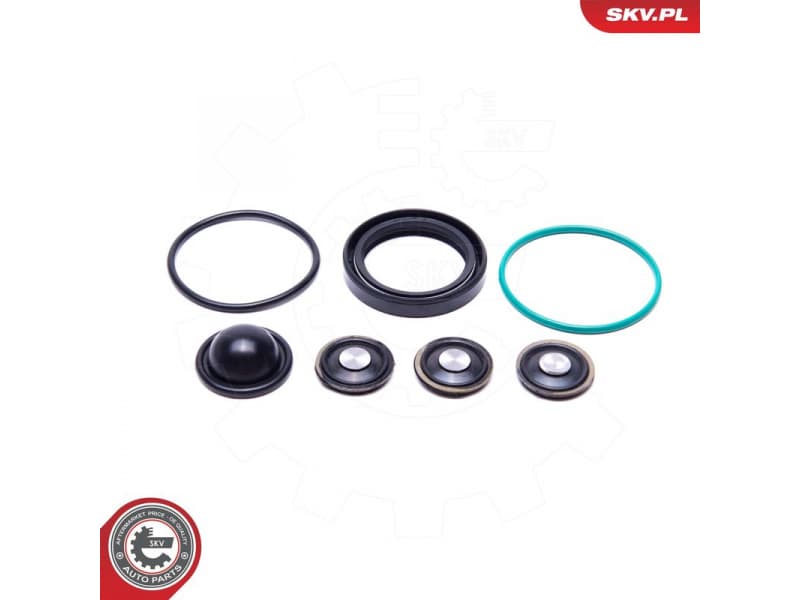 Repair Kit, fuel pump 96SKV933 - image 2