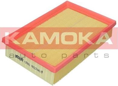 Air Filter F256301