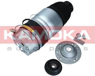 Air Spring, suspension 2079059