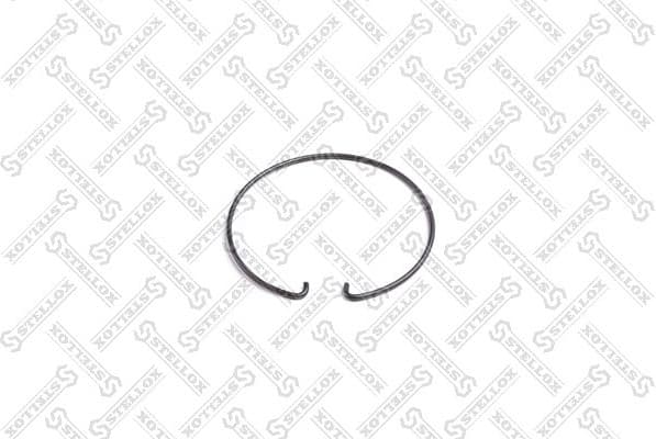 Circlip, kingpin 84-41846-SX