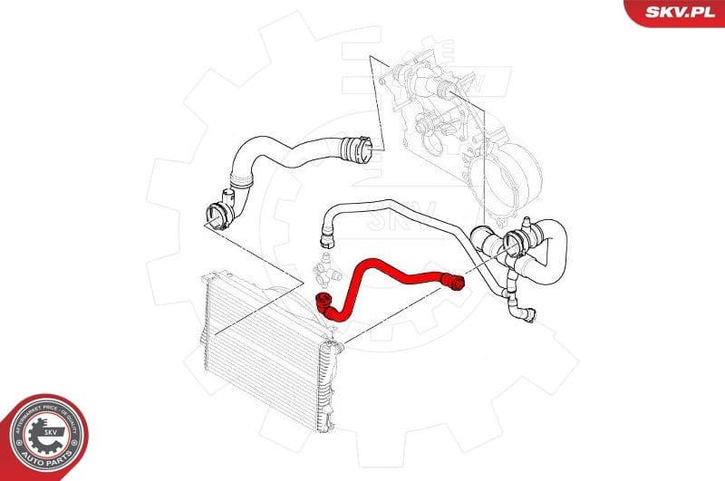 Radiator Hose 43SKV630 - image 4