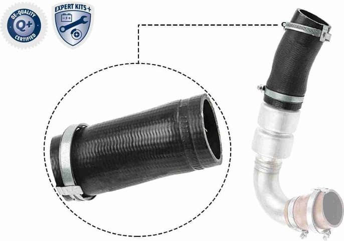 Charge Air Hose Original VAICO Quality V25-1036