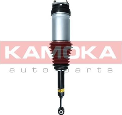 Air Suspension Strut 2070008