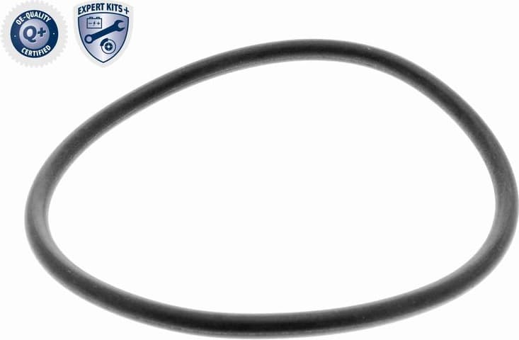 Hydraulic Filter, automatic transmission EXPERT KITS + V10-2287-1 - image 2