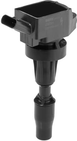 ZSE301 (BorgWarner (BERU))