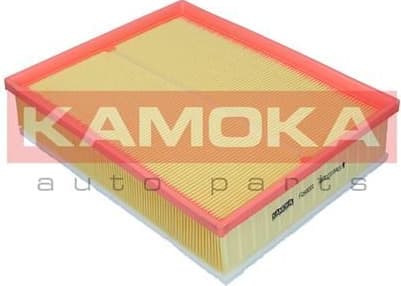 Air Filter F259001