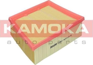Air Filter F258001