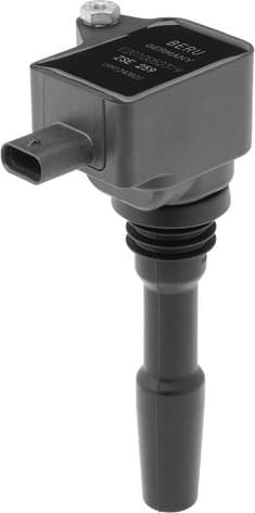 ZSE259 (BorgWarner (BERU))