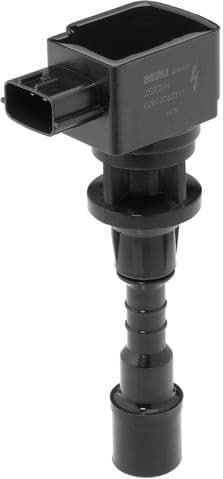 ZSE244 (BorgWarner (BERU))