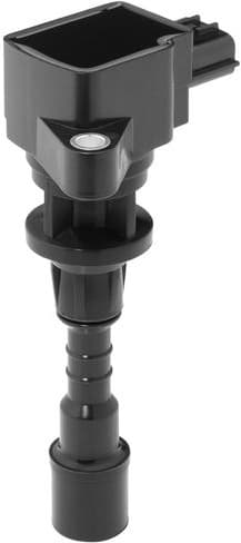 ZSE244 (BorgWarner (BERU)) - image 2