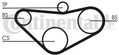 Timing Belt CT800 - image 2