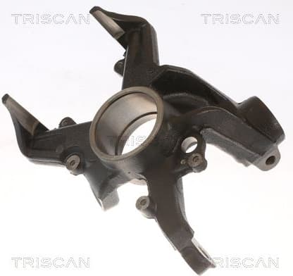 Steering Knuckle, wheel suspension 8500 29703