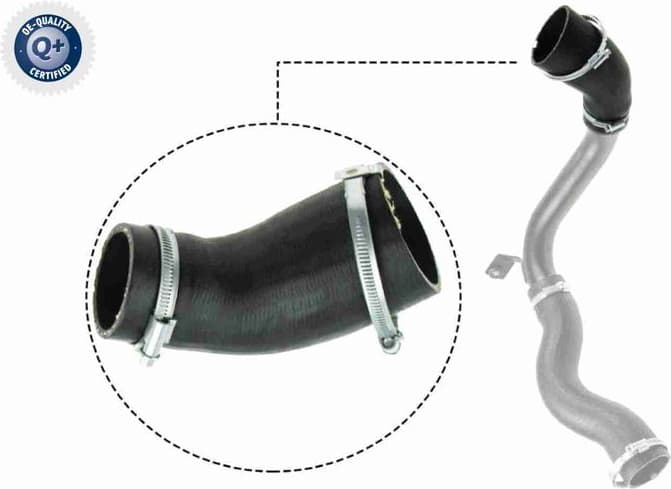Charge Air Hose Original VAICO Quality V25-1029