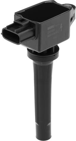 ZSE239 (BorgWarner (BERU))