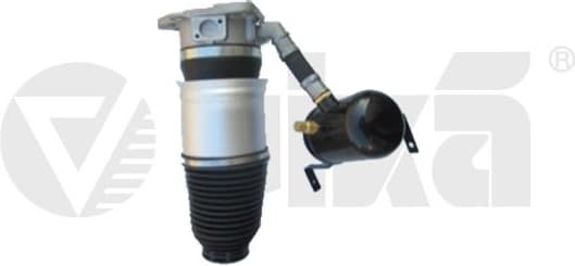 Air Suspension Strut 46160001501