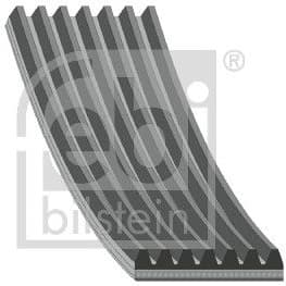 V-ribbed Belt 170679