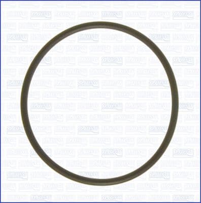 Gasket, vacuum pump 16058800