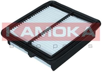Air Filter F260001