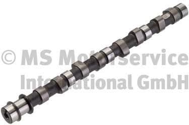 Camshaft 50006329