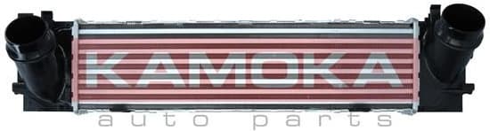 Charge Air Cooler 7750050