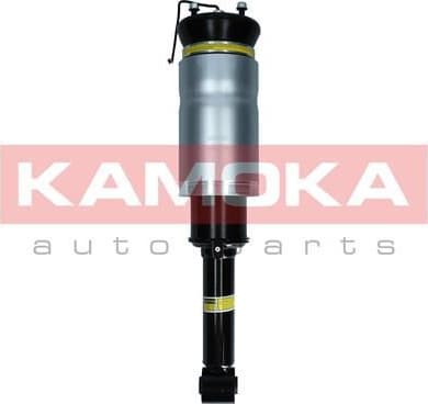 Air Suspension Strut 2070024