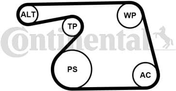 Water Pump + V-ribbed Belt Kit 6PK1318WP1
