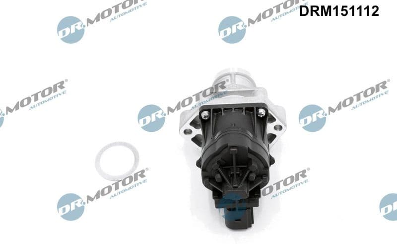 EGR Valve DRM151112 - image 2