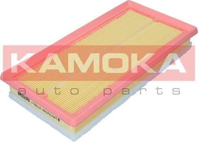 Air Filter F255101