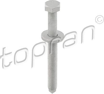 Screw 116 952