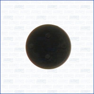 Seal Cap, camshaft 01114000