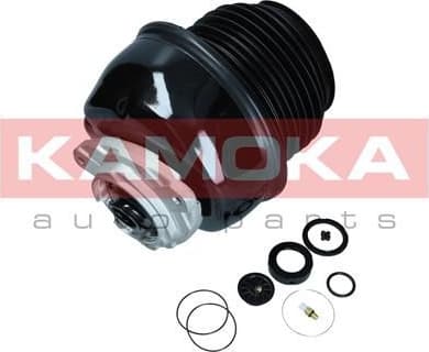 Air Spring, suspension 2079054