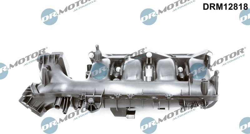 Intake Manifold Module DRM12818