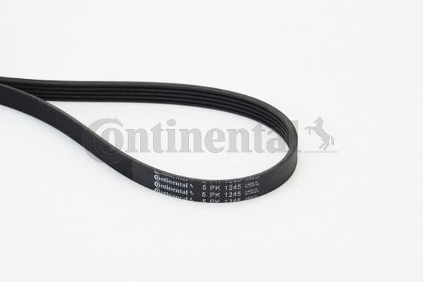 V-ribbed Belt 5PK1245