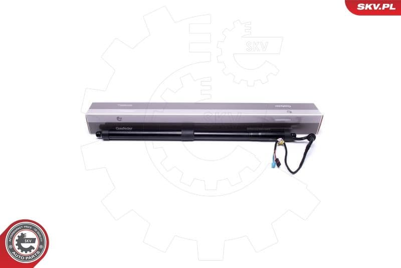 Electric Motor, tailgate 52SKV906