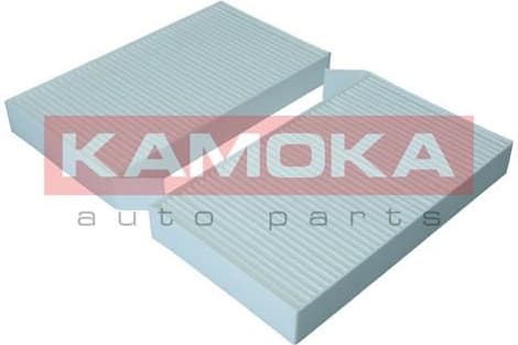 Filter, cabin air F422501 - image 2